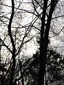 2008-01-12-Paintballen_by_Megan-010
