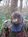 2008-01-12-Paintballen_by_Megan-019