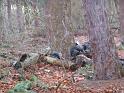 2008-01-12-Paintballen_by_Megan-022