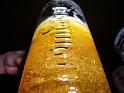 2008-03-31-BHL_Bottrop_2008-040