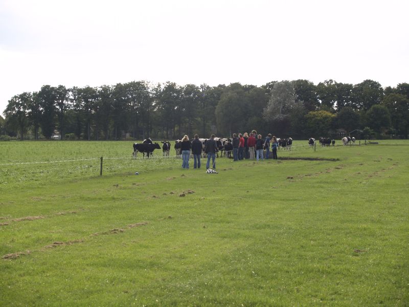 2008-09-14-BHL_BoerenGolf-110.jpg