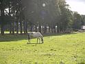 2008-09-14-BHL_BoerenGolf-096