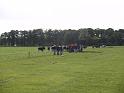 2008-09-14-BHL_BoerenGolf-109