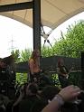 2008-05-09-Rock_Hard_2008-074