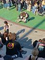 2008-05-09-Rock_Hard_2008-176